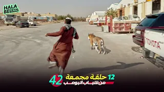 ١٢ حلقة مجمعة من شباب البومب الحلقة 42 الثانية والأربعون  ١٢ حلقة مجمعة من شباب البومب الحلقة 42 الثانية والأربعون