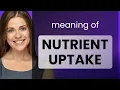 Understanding Nutrient Uptake - Essential for Plant Growth