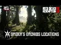All Spider Orchid Locations Red Dead Redemption 2 RDR2
