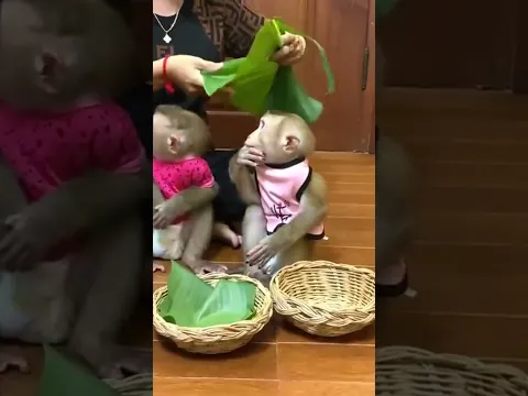 Obedient time