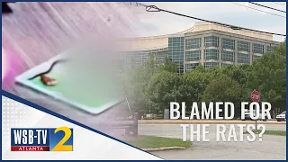 IRS workers say management blamed them for rat infestation