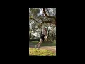 Sabrina hanging wedgie in public