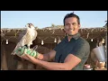 ඩුබායි - DUBAI DESERT SAFARI