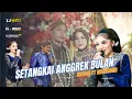 Download Lagu SETANGKAI ANGGREK BULAN || AMBAR FT NDANDUNG || TJ MUSIC ( Official video live )