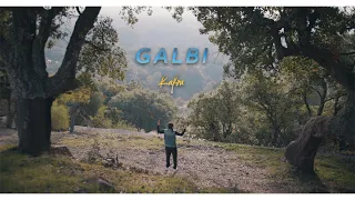                 قلبي                        دندنها