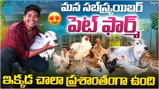 మన సబ్స్క్రయిబర్ అన్న ఇంట్లోనే ఇన్ని పెట్స్ పెంచుతున్నాడో చూడండి🦤 || ఇంతచిన్న ప్లేసులో ఇన్ని ఉన్నాయా