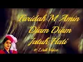 Lagu Faridah M Amin ~Diam Diam Jatuh Hati ~Lirik