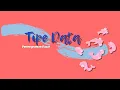 Tipe Data Pemrograman Dasar