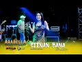 Download Lagu CIINAN BANA - Din Annesia - ARABELLA Music - NUGROHO Musical Audio - Live Pucakwangi Pati
