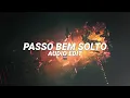 Download Lagu passo bem solto (super slowed) - atlxs [edit audio]