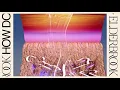 Elderbrook - How Do You