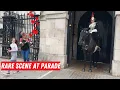 Download Lagu Tourist Thanks Female Trooper for Her Service at Horse Guards Parade