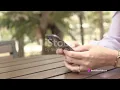 Bring Your Own Phone to Spectrum Mobile A Guide to BYOD internetkeera com