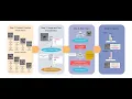CLIP Under the Microscope A Fine-Grained Analysis of Multi-Object Representation CVPR 2025