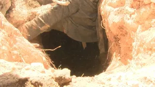 Clovis man found living in underground tunnel he dug himself