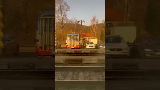                      دندنها