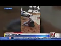 SBI asked to investigate Harnett County use-of-force arrest