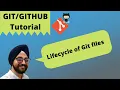 16 Git Status Lifecycle Git Workflow Git tutorial for begineer