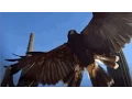 GIFs With Sound FAN FRIDAY JUNE 2015 GWS4ALL