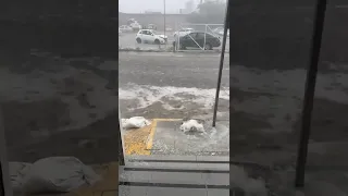 Durango 2025