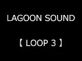 LOOP 3