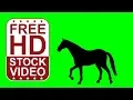 Free Stock s - horse silhouette walking on green screen seamless loop