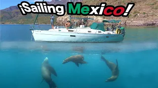 CRUISING MEXICO BY SAILBOAT: Swimming with wild sea lions! Ep.14