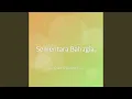 Download Lagu Sementara Bahagia