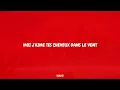 D'accord Simon - NAN! (Lyrics)