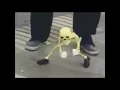 Download Lagu Dancing Skeleton (meme)