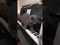 Download Lagu my catalogue How to play piano
