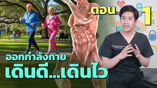 กล้ามเนื้อหน้าขาทำหน้าที่อะไรในการเดิน