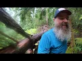 Pratt River Run