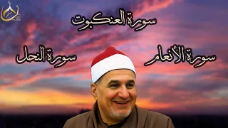 أروع تلاوات للشيخ محمد عبد الوهاب الطنطاوي 
