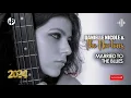 Lagu BLUES HITS 2024 - Danielle Nicole \u0026 The Nortons - Married To The Blues