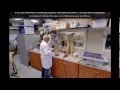 Prosthetics Laboratories Inc 305 250-9900 Prosthetic Arm Miami