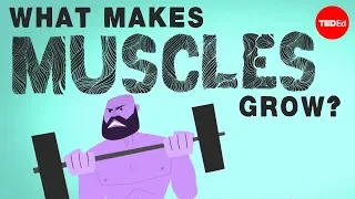 what makes muscles grow jeffrey siegel