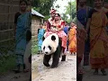 Bangladeshi Village Wedding on a Giant Panda 🐼💍 | Village Fun You Won’t Believe!