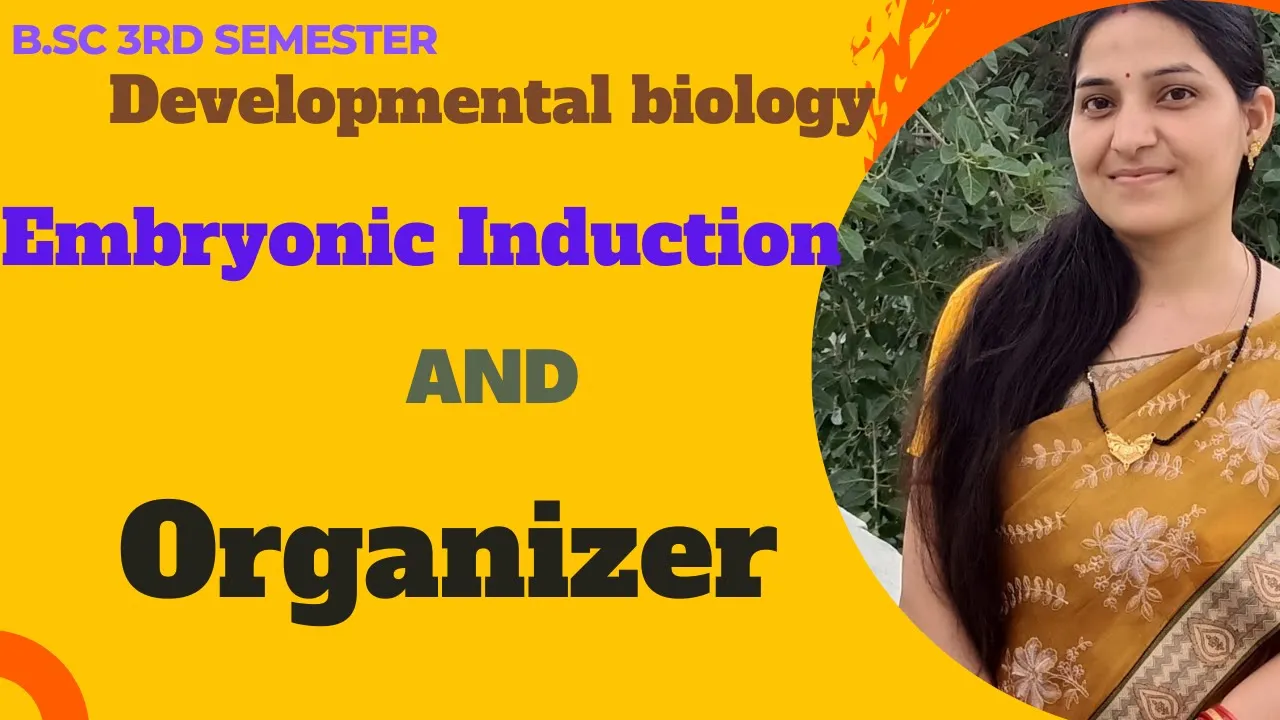 Embryonic Induction And Organizer b.sc 3rd year||Spemann's Organizer concept||#developmentalbiology