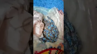 سحر التفريق بين الزوجين 