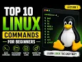 Learn the Top 10 Basic Linux Commands for Beginners Linux Tutorial