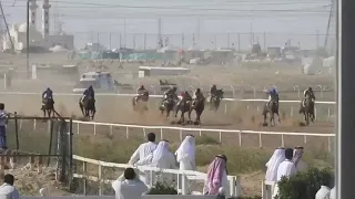 الشوط الثاني   شبيه الريح اسطبل الفرماوي   دندنها