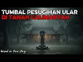 Tumbal Pesugihan Ular di Tanah Kalimantan