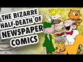 The Stagnation and Decay of Newspaper Comics