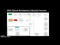 1 SDLC Overview