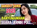 Download Lagu dangdut Jawa yang lagi viral 2025 banyuwangian