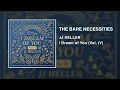JJ Heller - Bare Necessities (Official Audio Video) - Disney's The Jungle Book Cover