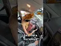 Download Lagu Kak Jill Gorden 10 gelombang kanan 10 gelombang kiri viral tiktok