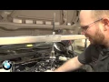 BMW VANOS Recall - BMW Bavaria Edmonton
