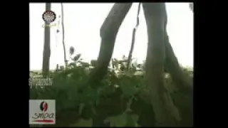 فلم وثائقي عن منطقة البطانه الوالد محمد ابراهيم الأمين ود عفش عليه رحمة الله 